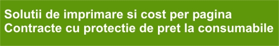 Pay per print